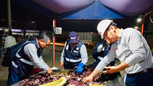 Produce dona 400 kilos de jurel y cangrejo a pobladores de escasos recursos en Arequipa y Trujillo