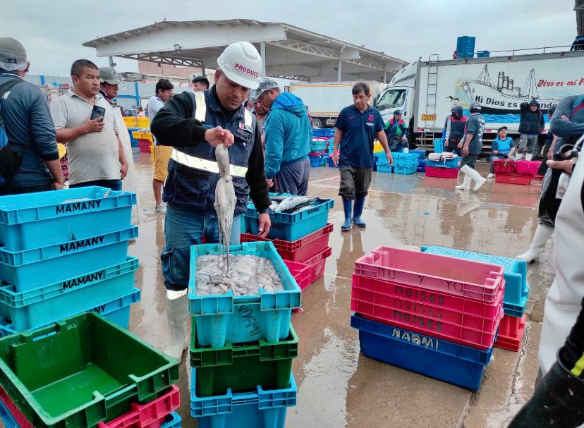 Produce fortalece la lucha contra la pesca ilegal y recupera más de 38 toneladas de recursos hidrobiológicos  